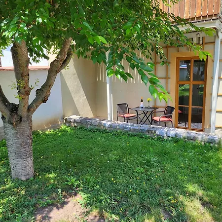 Altstadtperle ناومبورغ